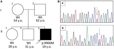 Case report: A novel CACNA1S mutation associated with hypokalemic periodic paralysis